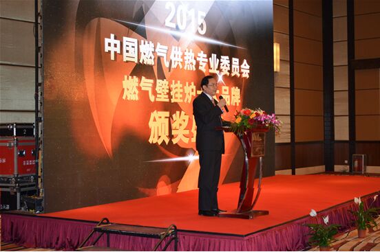 史麦斯壁挂炉荣获“燃气壁挂炉十大品牌”