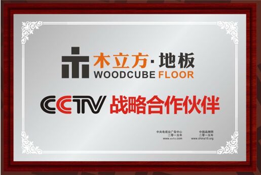 木立方联手央视，360°打造中国十大木地板品牌