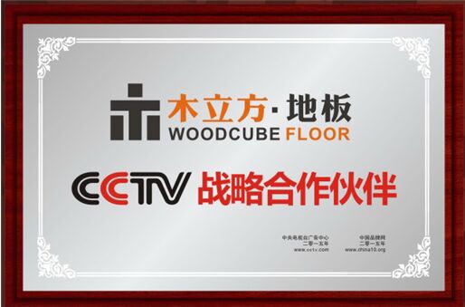木立方获“中国十大实木地板品牌”殊荣