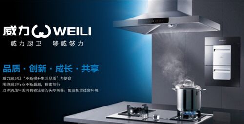 热烈祝贺：威力厨卫荣获“中国十大燃气灶品牌”