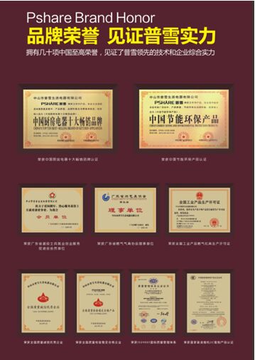 位居中国十大燃气灶品牌行列 普雪以技术铸造十年品牌