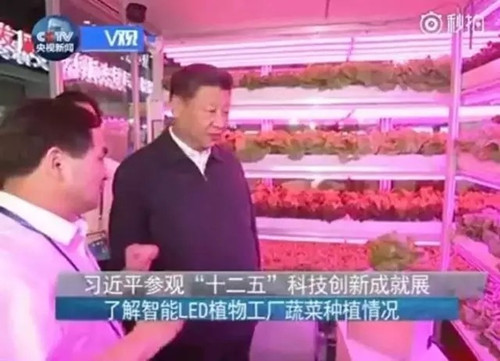 习大大参观植物工厂，中国LED植物照明要爆发？