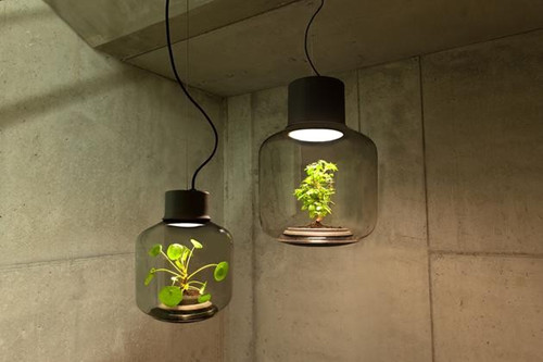 密闭LED灯具里种植物 不打理也能持续生长