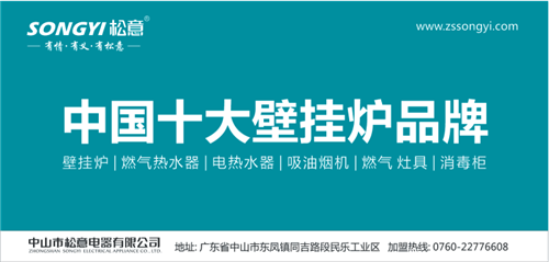 重磅快讯：松意赢得“中国十大壁挂炉品牌”宝座