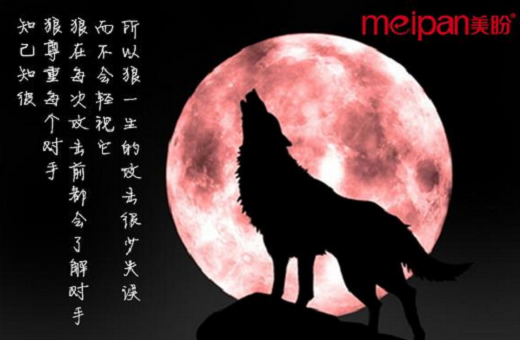 【好拾快讯】细数战狼2与美盼集成灶的狼性文化的渊源