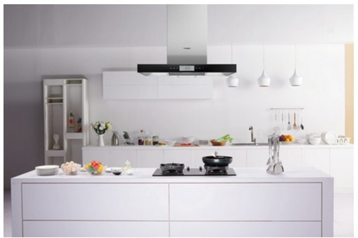 范冰冰助阵品牌新升级,中国厨房电器知名品牌百得发布会3月开幕