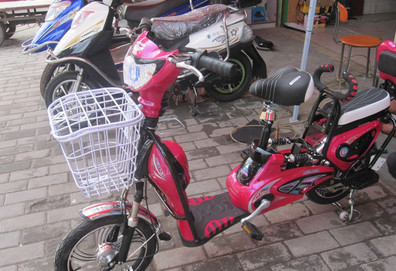 中国十大电动车品牌排行榜