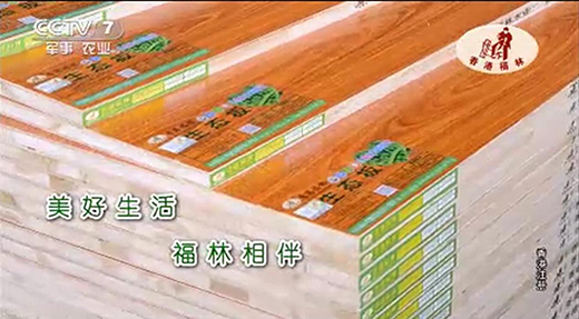 央视上的香港福林，板材中的“战斗机”