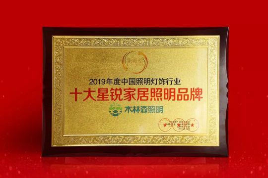 木林森照明孙清焕获2019光明奖“十大杰出人物”
