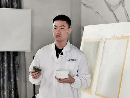 TASSANI解密思享会，开启艺术涂料直播新赛道！