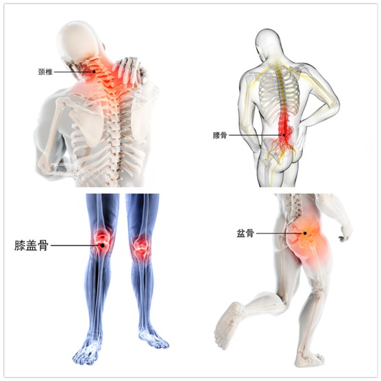 耐乐途功能鞋 赋予传统鞋业新灵魂