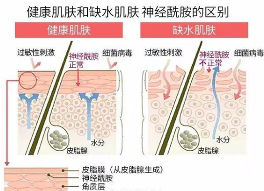 哪些美白成分在护肤品中真正安全有效？