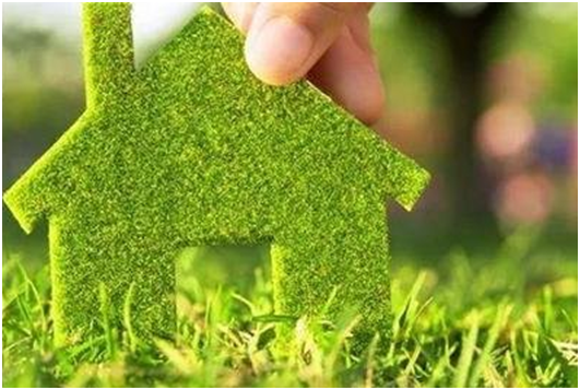 世界环境日：保护我们共同生存的家园，百慕一直在行动!