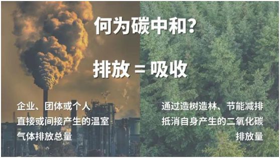 全国低碳日│宇之源太阳能路灯落实“双碳”行动 共建美丽家园