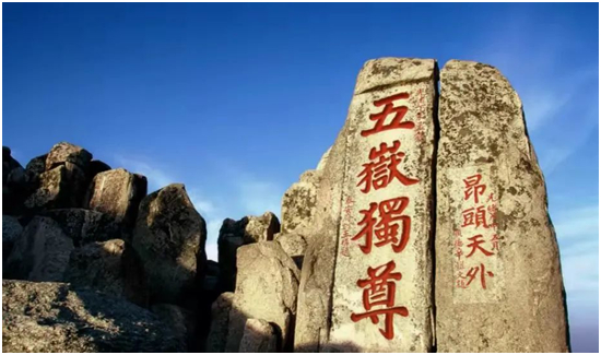 喜讯！泰山牌轻钢龙骨荣获“中国十大轻钢龙骨品牌”称号