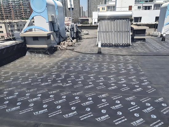 商业建筑防水解决方案的案例研究：守护建筑安全的坚固盾牌