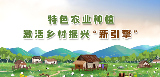 乡村振兴新引擎：下沉市场家居消费如何激活县域经济新蓝海？