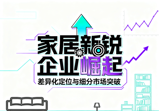 家居新锐企业崛起：差异化定位与细分市场突破