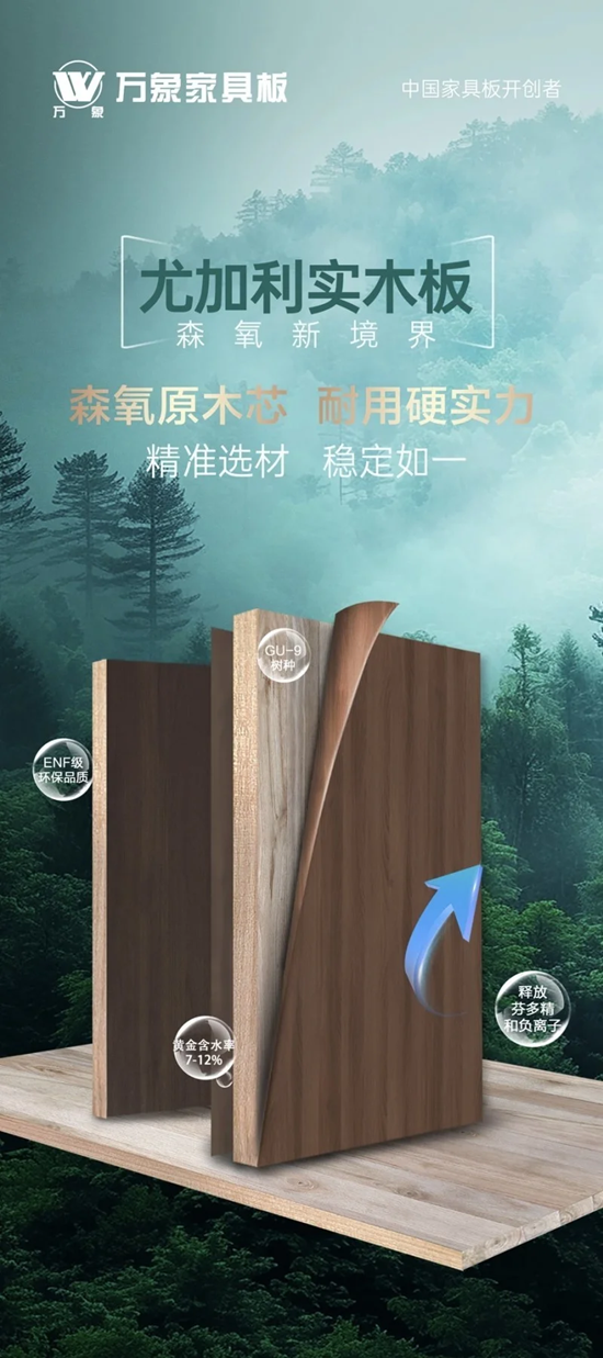 旺德府集团亮相世界品牌莫干山大会，发布家庭场景板材新主张